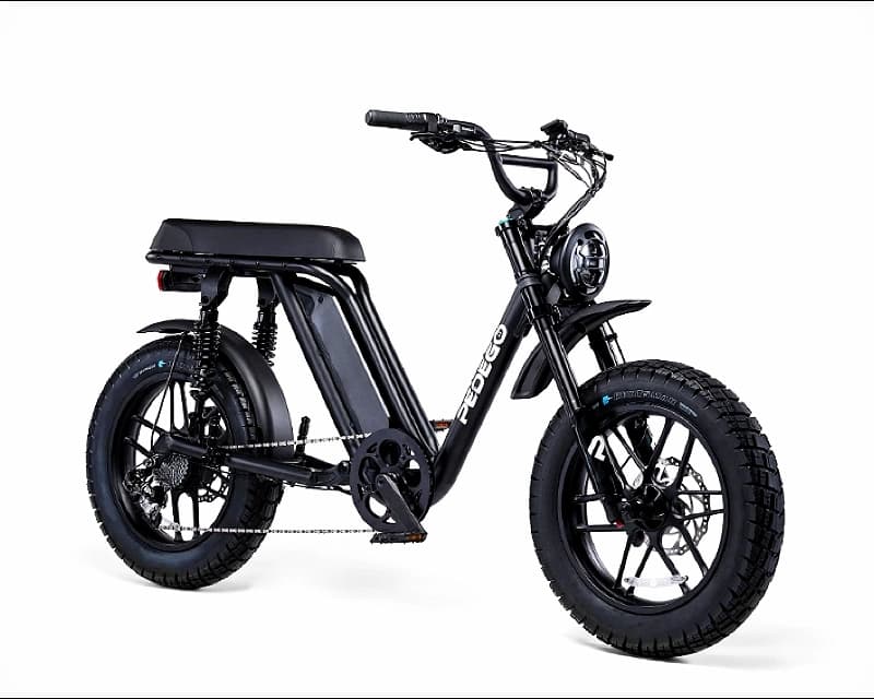 Repair services for Pedego