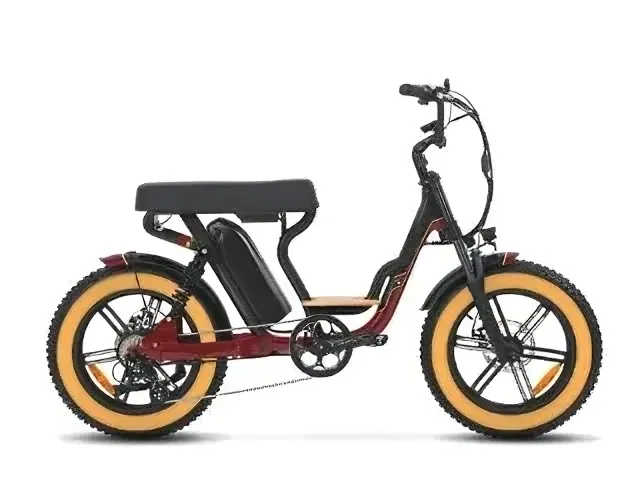 Electric Bike